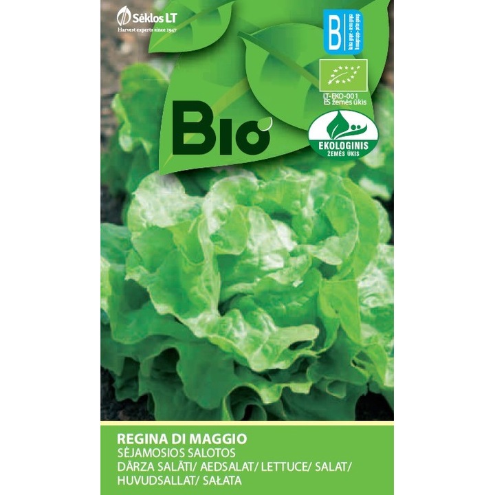 Salata Regina Di Maggio, Bio, Seminte Organice, plic, 1 gram