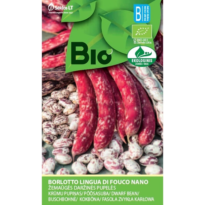 Fasole Pitica Dwarf Borlotto Lingua Di Fuoco Nano, Bio, Seminte organice, plic, 7 grame