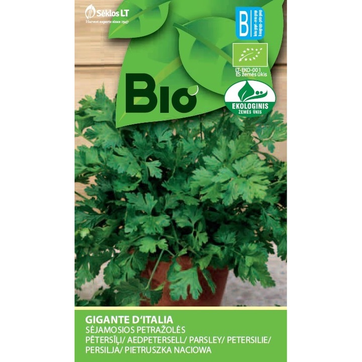 Patrunjel Gigante D'Italia, Plante Aromatice, Bio, Seminte Organice, plic, 2 grame