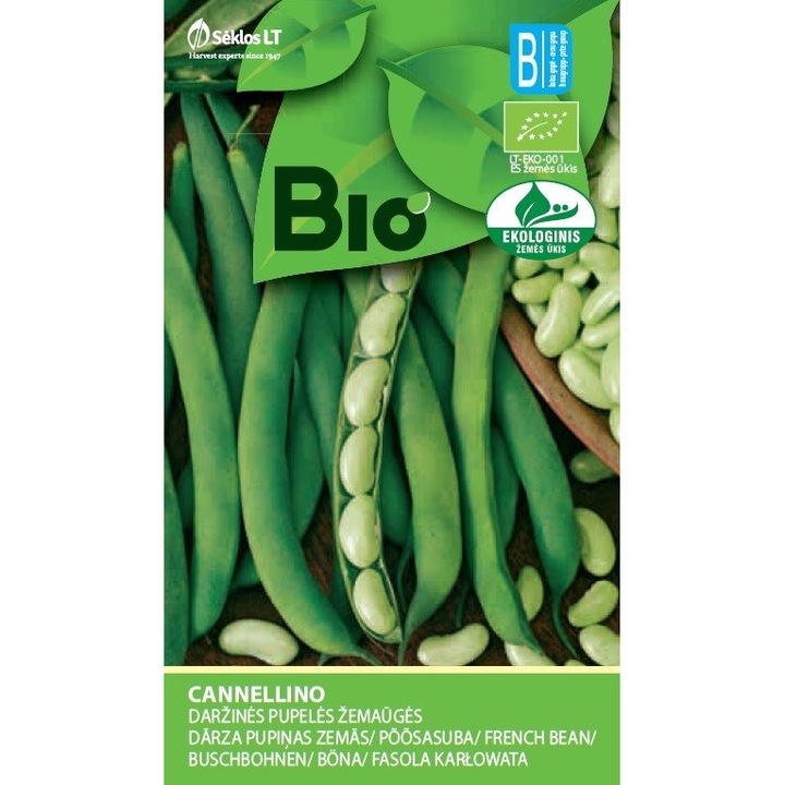 Fasole French Cannellino, Bio, Seminte organice, Soi Timpuriu, plic, 7 grame