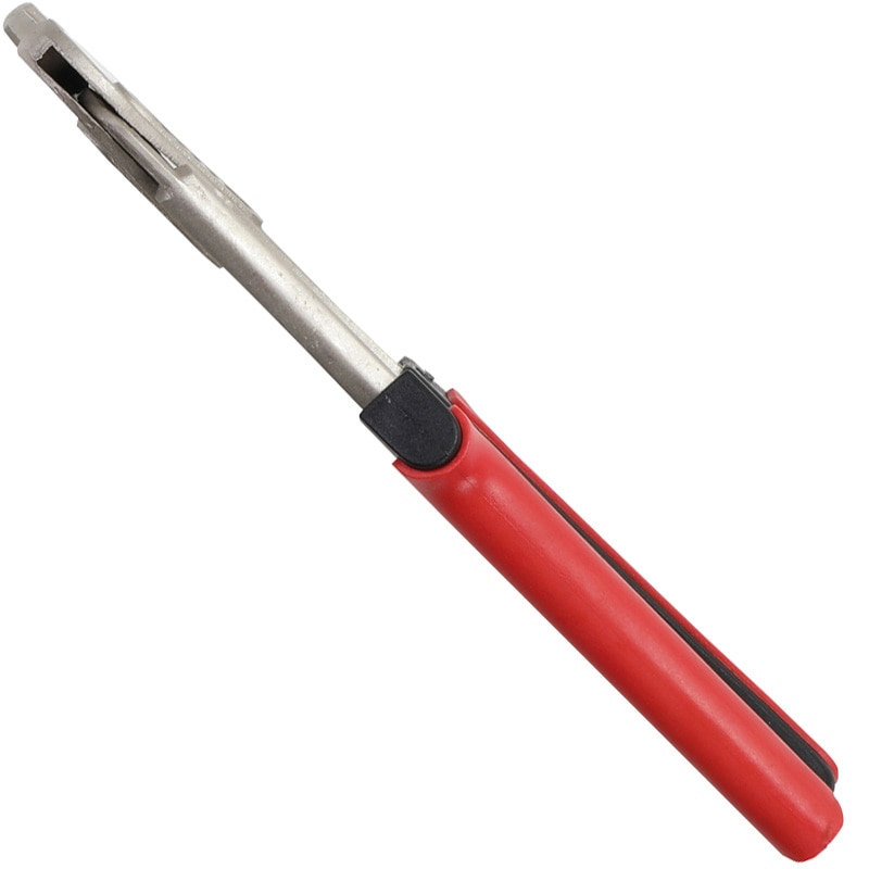 Cleste tip papagal, 240mm, 1.1/2
