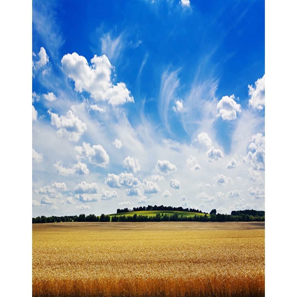 Fototapet de perete autoadeziv si lavabil Natura141, 135 x 225 cm