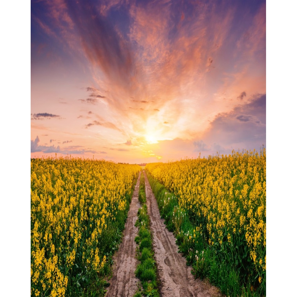 Fototapet de perete autoadeziv si lavabil Natura123, 135 x 225 cm