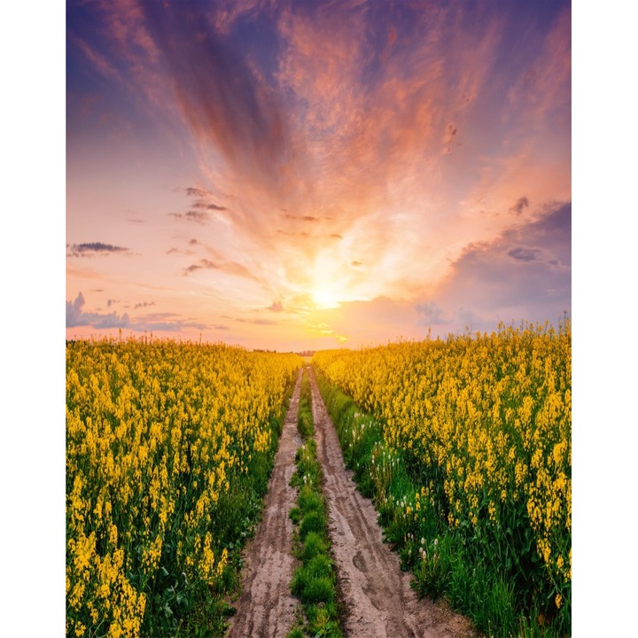 Blueback Mat Natura 123 tapéta, 200 x 255 cm