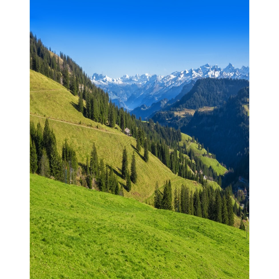 Fototapet de perete autoadeziv si lavabil Natura135, 135 x 225 cm