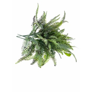 Set Atelier 3 Plante decorative Set Atelier 3 Plante decorative