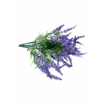 Set 5 Plante decorative, Lavanda Set 5 Plante decorative, Lavanda