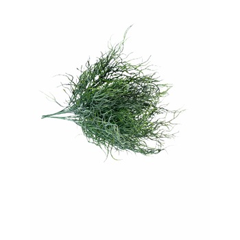 Set Atelier 3 Plante artificiale de padure Set Atelier 3 Plante artificiale de padure