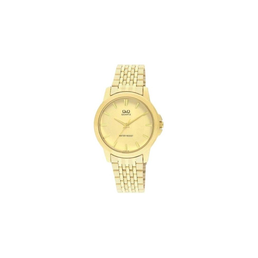 Ceas barbatesc Q&Q Q422-010Y