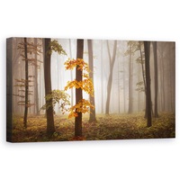 tablou canvas - lumina in noiembrie peisaj padure copac frunze 30 x 60 cm imagen 23_0_
0
