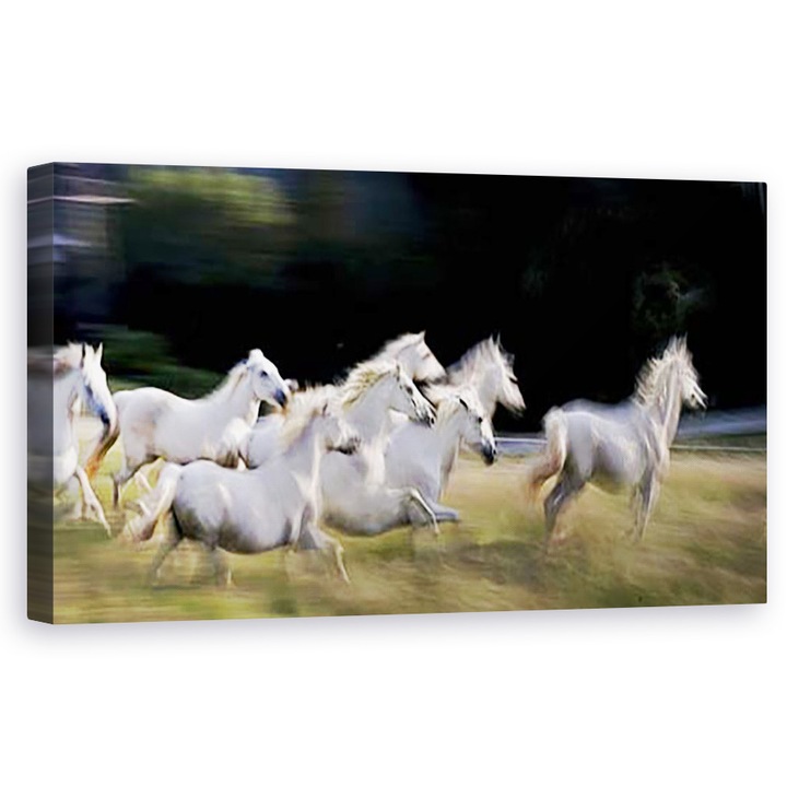 Tablou Canvas - Panorama, Galop, Cal, Reflectie, Turma, 60 x 120 cm