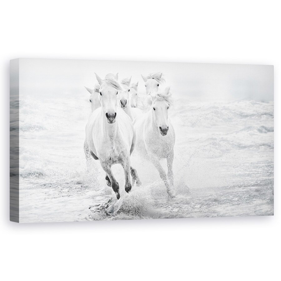 Tablou Canvas - Galop in Mare, Alb, Cai, Mare, 60 x 120 cm