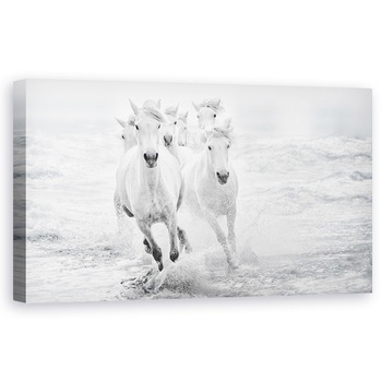 Tablou Canvas - Galop in Mare, Alb, Cai, Mare, 60 x 120 cm Tablou Canvas - Galop in Mare, Alb, Cai, Mare, 60 x 120 cm