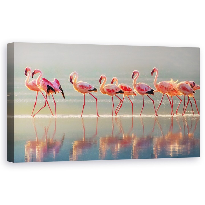 Tablou Canvas - Flamingo, Ceata, Apa, Distanta, Grup, Romantism, Roz, 60 x 120 cm