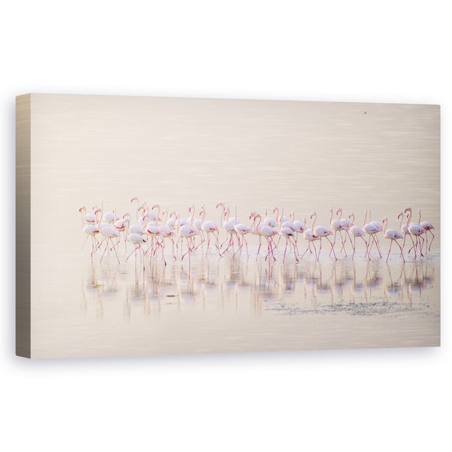 Tablou Canvas - Flamingo Marsaluind, Animale, Natura, Plaja, Ocean, 60 x 120 cm