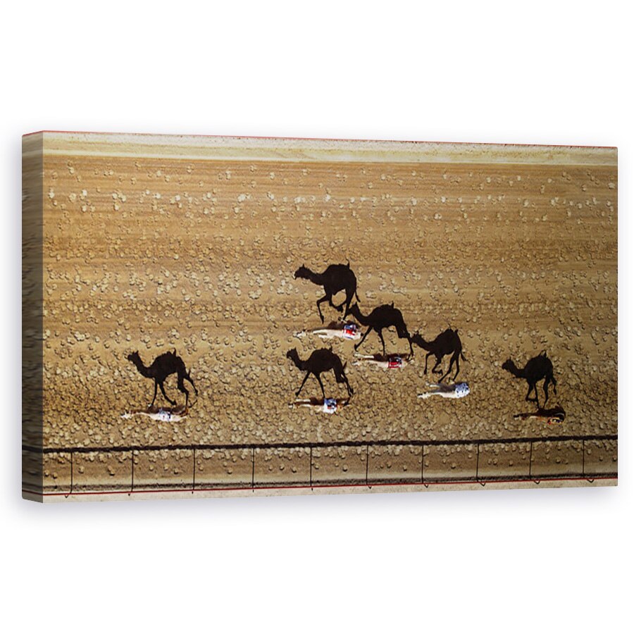 Tablou Canvas - Cursa Al-Marmoum, Aeriene, Dubai, Camile, 60 x 120 cm