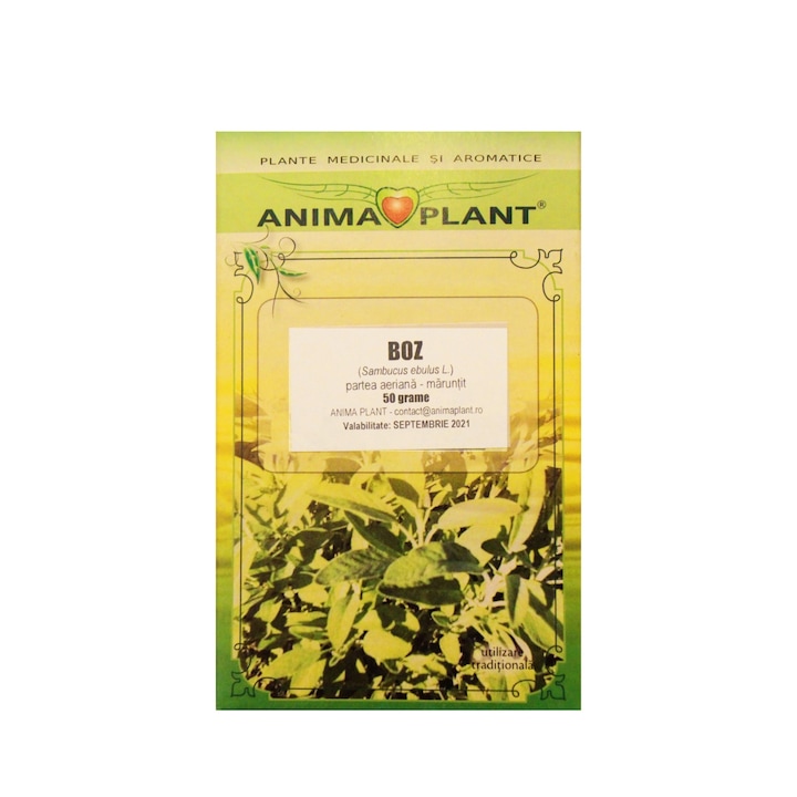Anima Plant Sambucus ebulus L aprított földi bodza levél tea, 50 g