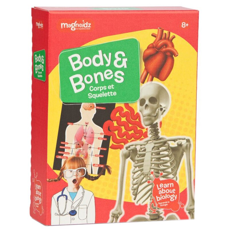 Joc educativ Keycraft Magnoidz - Corpul uman, 3 experimente