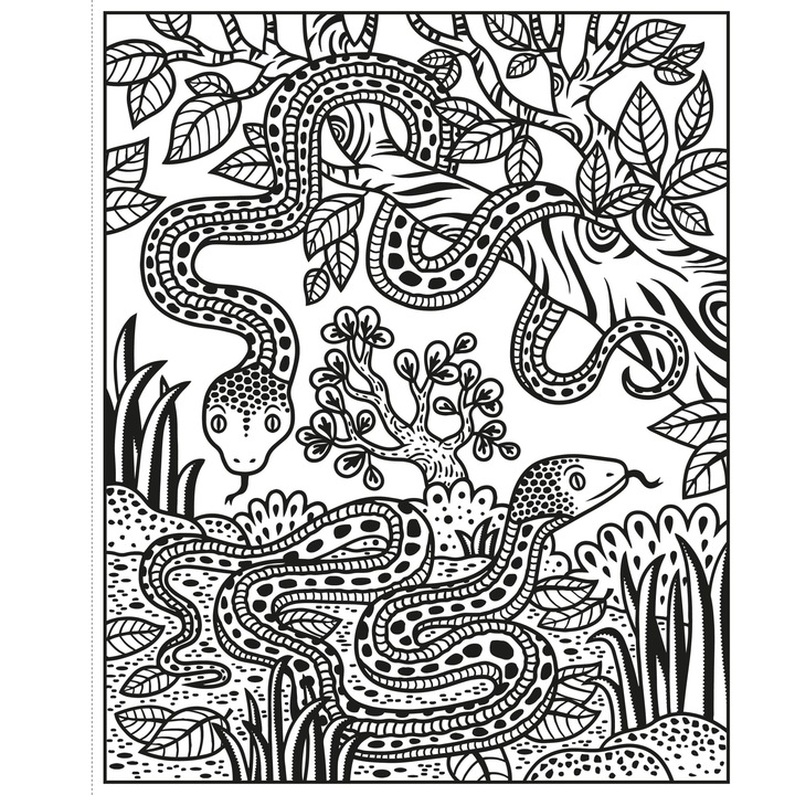 Usborne könyv, Csak vízzel festhető, Zoo Magic Painting
