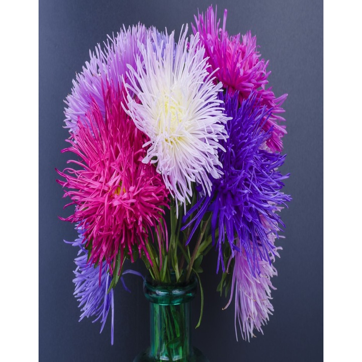 Fototapet Flori83, 200 x 255 cm