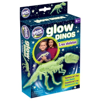 Schelet reflectorizant Brainstorm - T-Rex Schelet reflectorizant Brainstorm - T-Rex