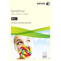Carton copiator Xerox, A4, 160g, 24 coli/top, 2 x 12 culori, asortat mixt + negru + maro