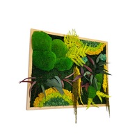 tablou licheni muschi de padure si plante naturale stabilizate jolie arts model curcubeu dimensiune 50 x 70 cm rama natur imagen 40_0_
0