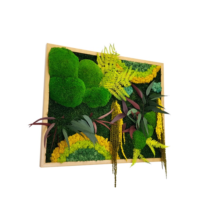 Tablou licheni, muschi de padure si plante naturale stabilizate Jolie Arts, Model Curcubeu, dimensiune 50 x 70 cm, rama natur