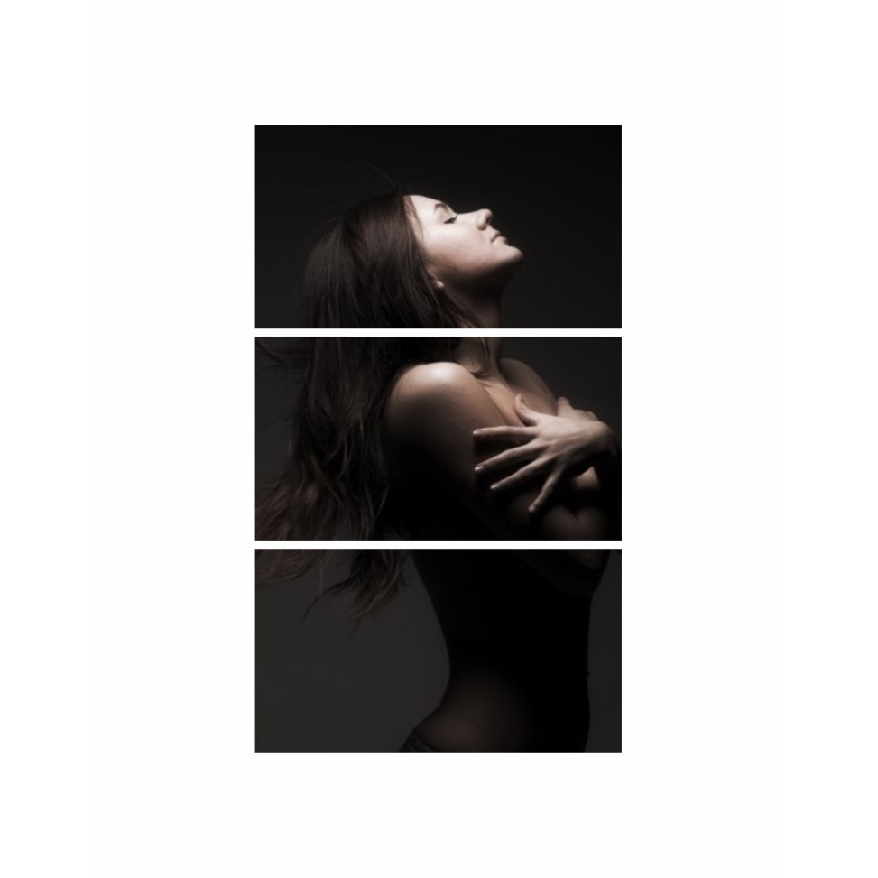 Tablou multicanvas 3 piese 90x150 cm, model Erotic 47