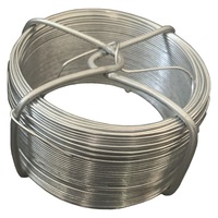sarma de legat strend pro garden diametru 18 mm lungime 30 m zinc imagen 9_0_
0