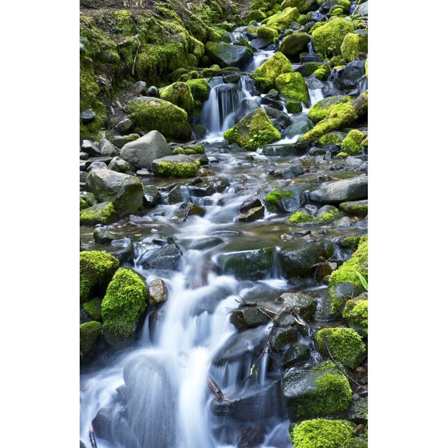 Sticker Scari - Cascada si Stanci cu Muschi Verde - 6 folii de 18x100 cm