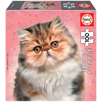 Puzzle Educa Pisica persana puzzle in sase dimensiuni 100 piese Puzzle Educa Pisica persana puzzle in sase dimensiuni 100 piese
