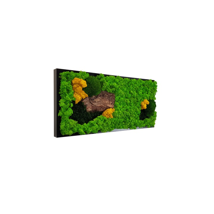 Tablou licheni, muschi si elemente naturale stabilizate Jolie Arts, dimensiune 25 x 50 cm, rama neagra
