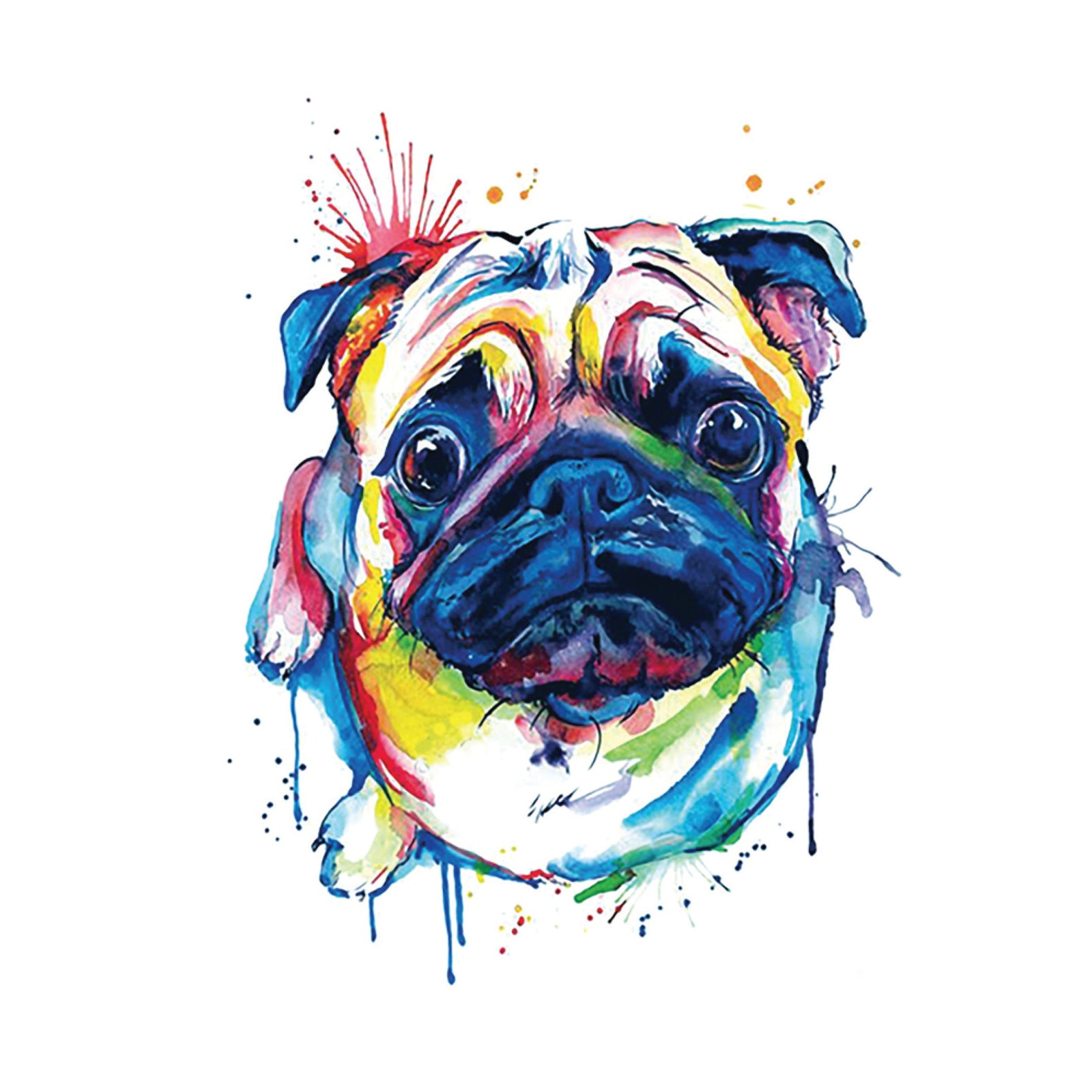 Tatuaj temporar, Flash Tattoos Romania, Hey Buddy, rezistent la apa, aplicare rapida, 15x21 cm