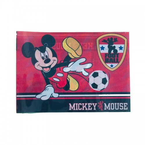 Coperta caiet muzica, biologie, geografie Mickey