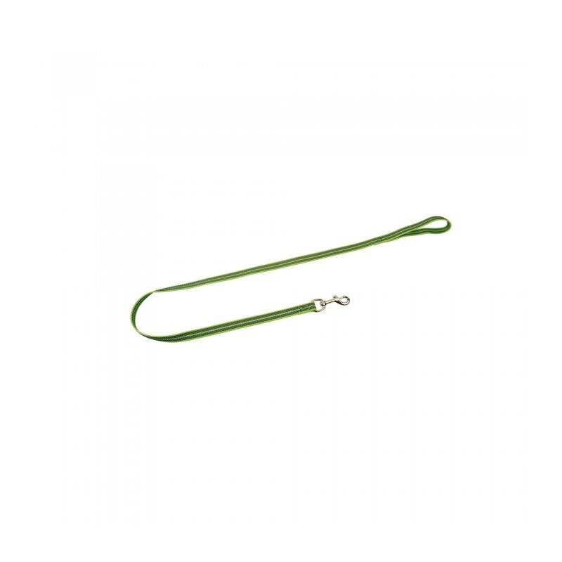 Lesa Sprenger din nailon pentru dresaj cu insertie cauciucata cu maner Lungime 200 cm, Culoarea Verde