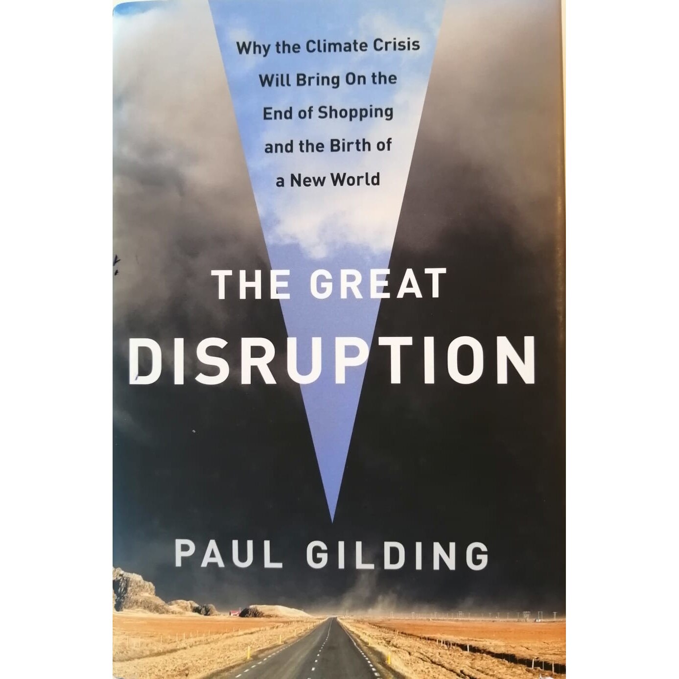 The great disruption - Paul Gilding