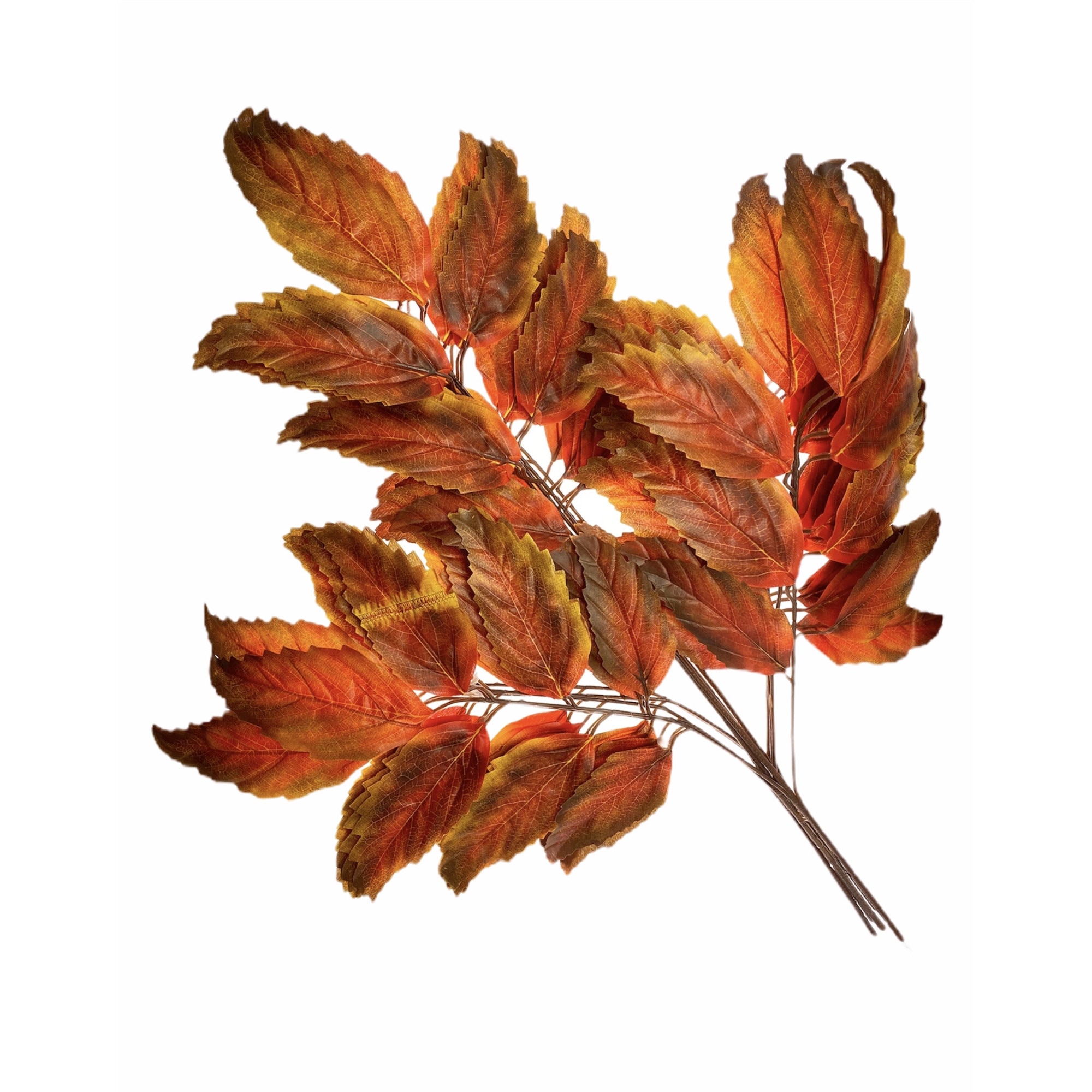 Set Atelier 5 frunze decorative, Aramiu, 70x65