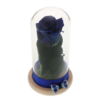 Trandafir Criogenat Blue Rose Trandafir Criogenat Blue Rose