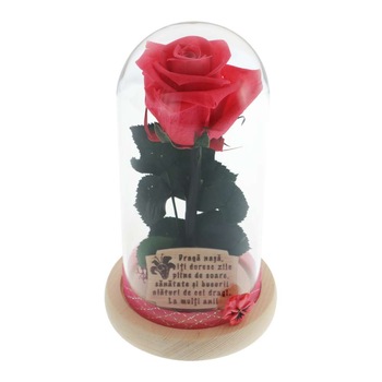 Trandafir Criogenat Cadou pentru Nasa Trandafir Criogenat Cadou pentru Nasa