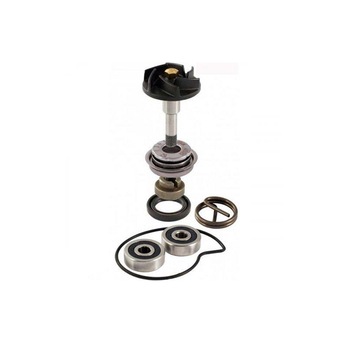 Kit pompa apa Piaggio Beverly 250 06-07 Kit pompa apa Piaggio Beverly 250 06-07