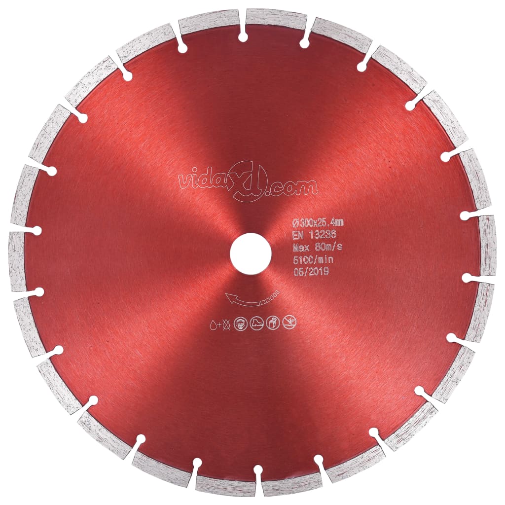 Disc diamantat de taiere, vidaXL, Otel, 300 mm/25.4 mm, 80 m/s, 5100 rpm