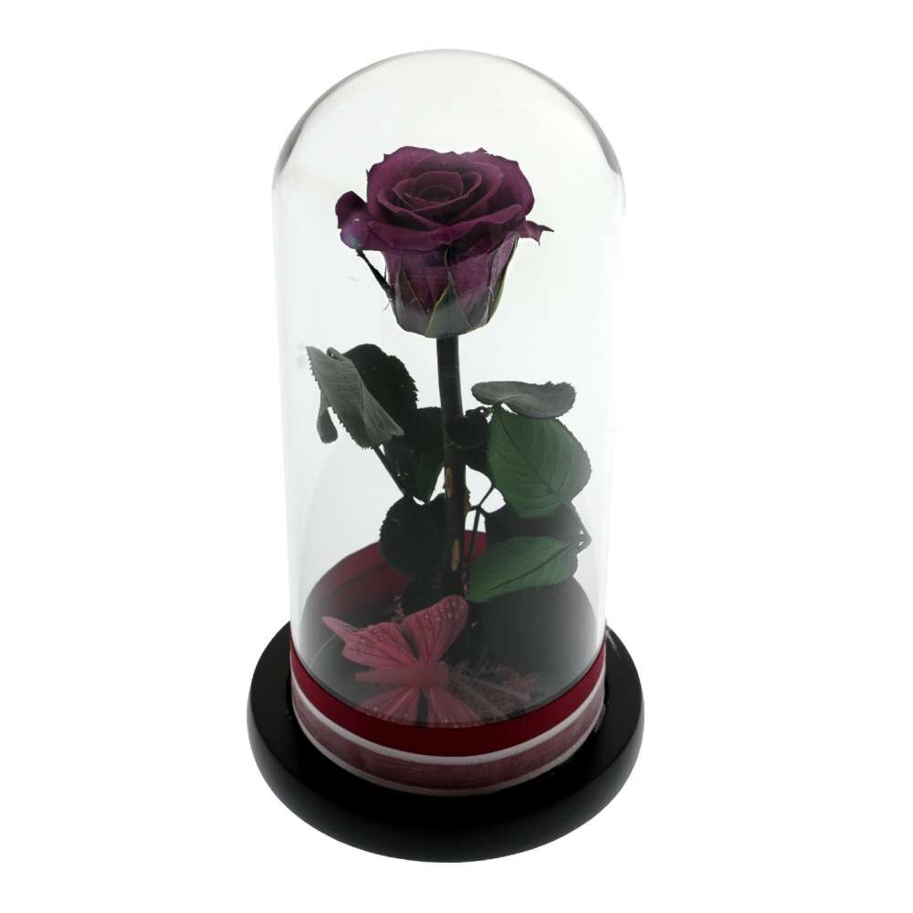 Trandafir Criogenat Mov cu Fluturas