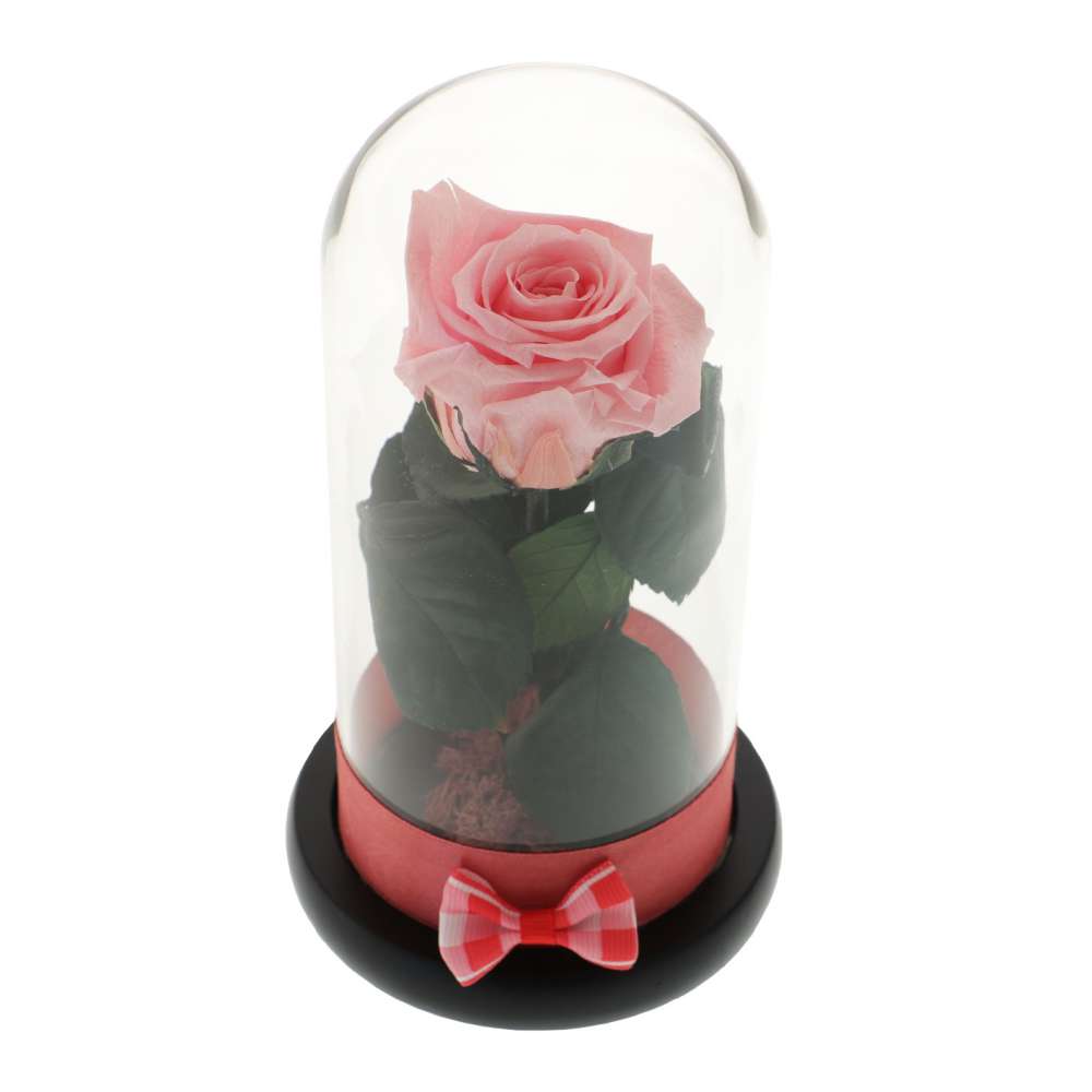 Trandafir Criogenat Pink Rose