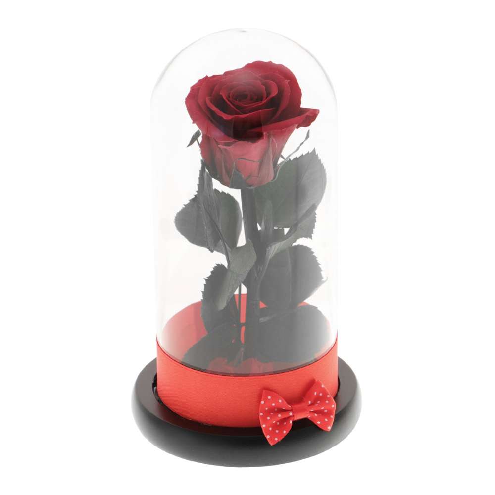 Trandafir Criogenat Red Rose