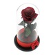 Trandafir Criogenat Red Rose