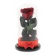 Trandafir Criogenat Red Rose