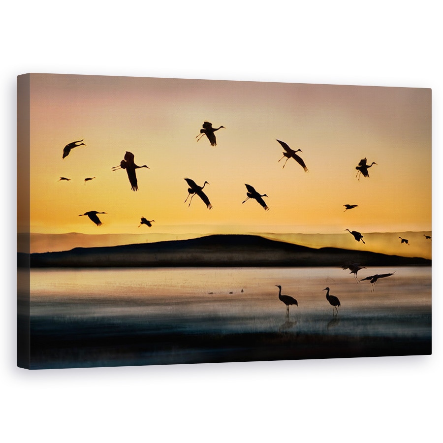 Tablou Canvas - Lac, Apus De Soare, Zbor, Mexico, Sua, Pasare, 60 x 100 cm