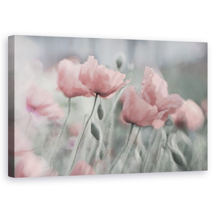 Tablou Canvas - Incet, Floare, Vara, Romantic, Gradina, Roz, Mac, 60 x 100 cm