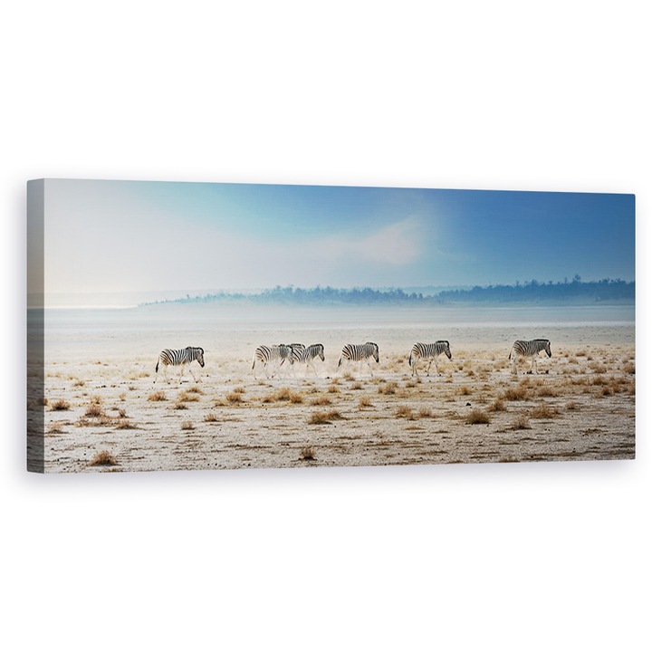 Tablou Canvas - Promenada, Natura, Animale, Salbatice, Zebra, Ceata, 40 X 120 cm